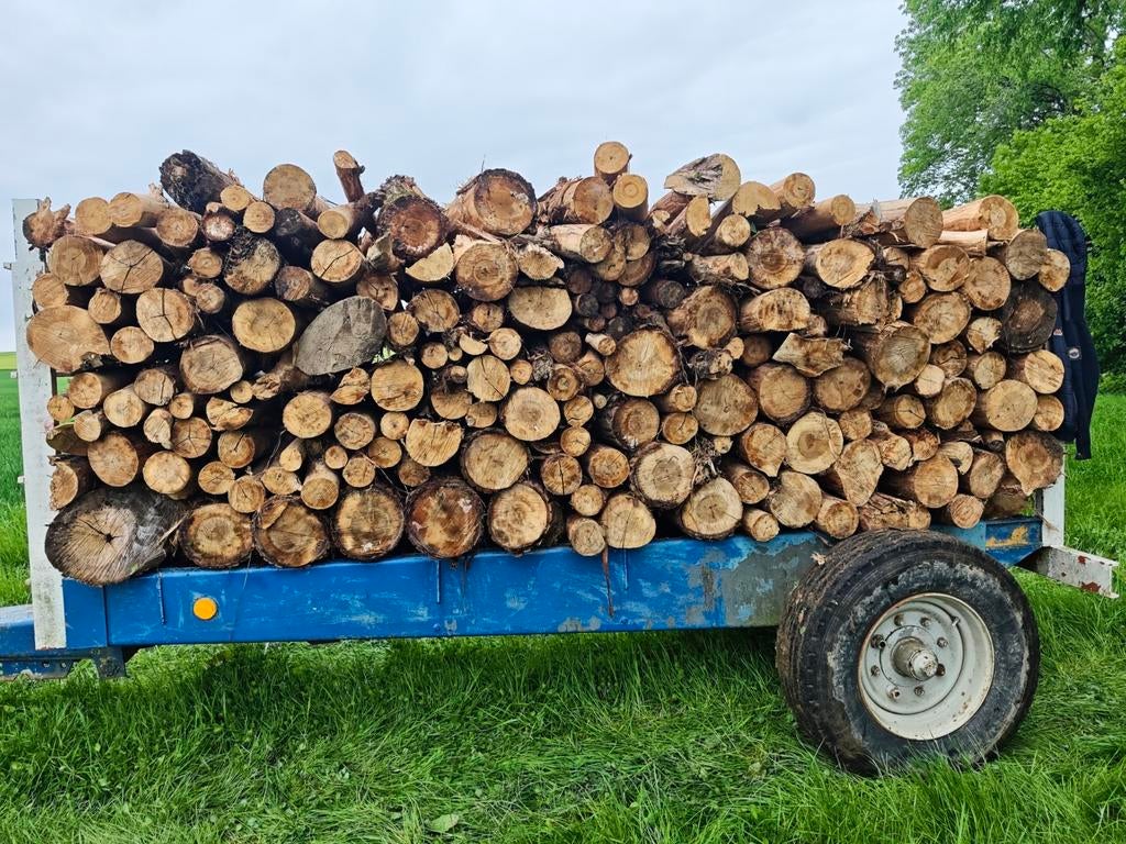 Bois de chauffage peupliers