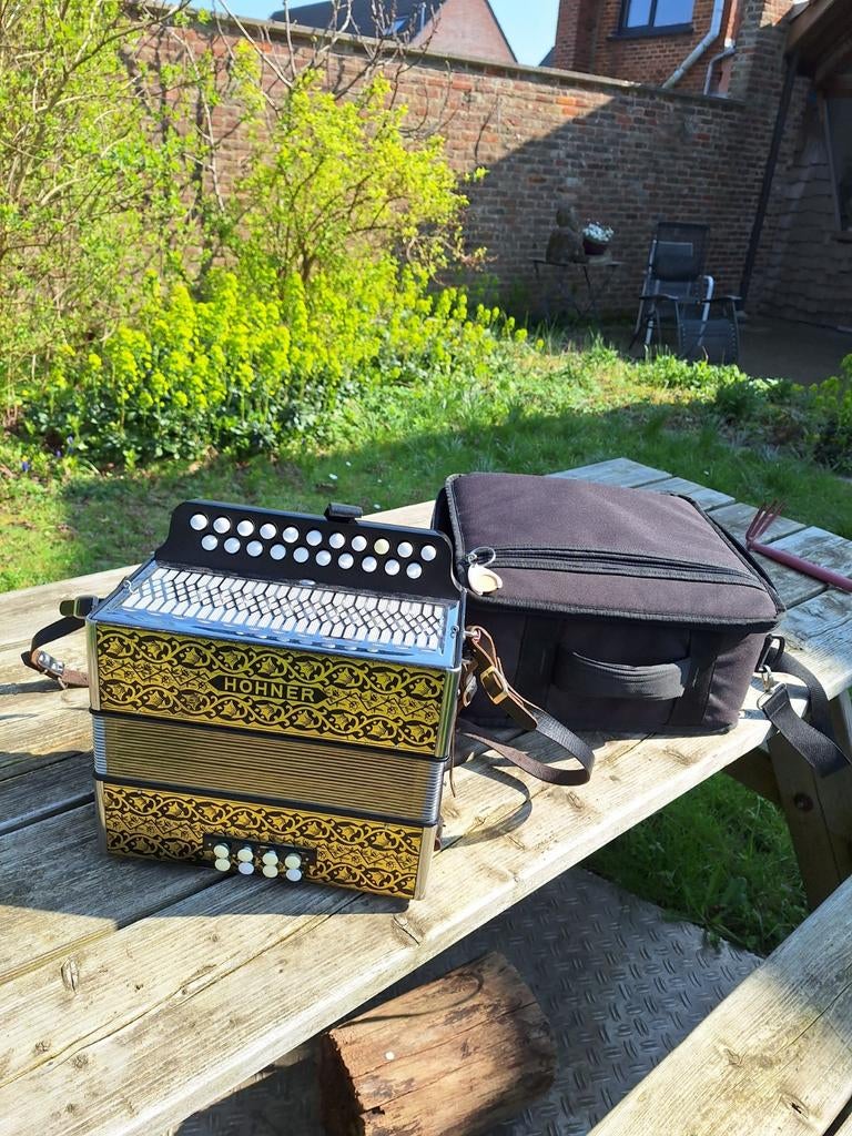 Diatonische Accordeon Hohner, Musique & Instruments, Accordéons, Enlèvement, Utilisé, Avec bretelles, Accordéon à boutons