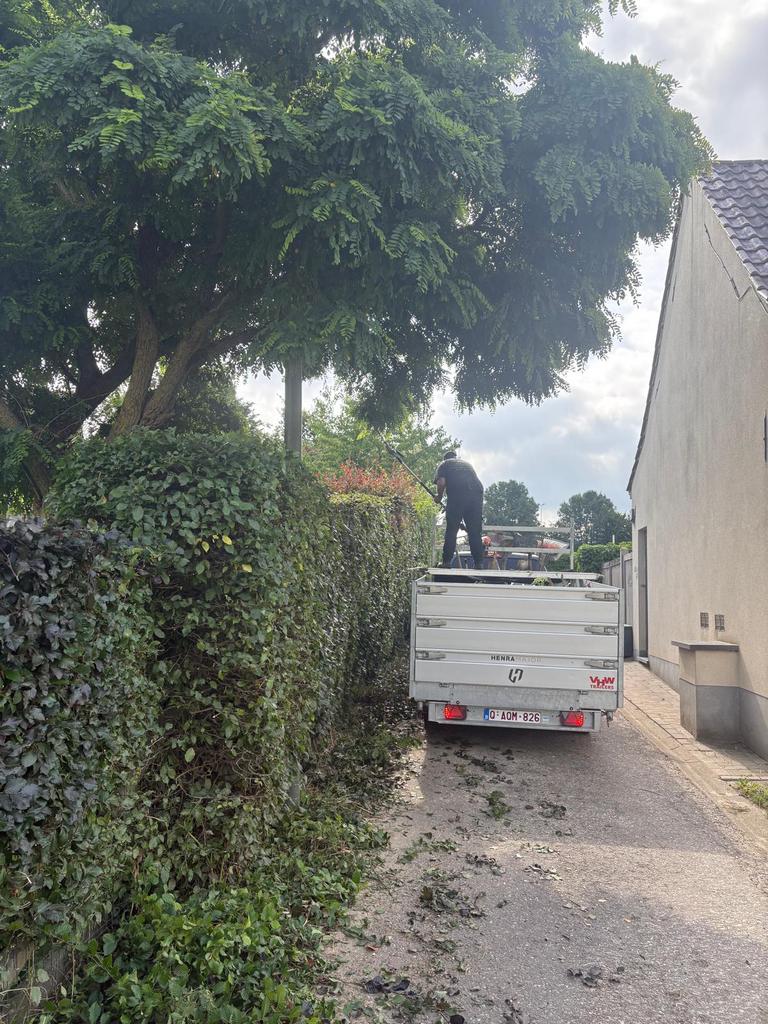 Jardinier, Enlèvement