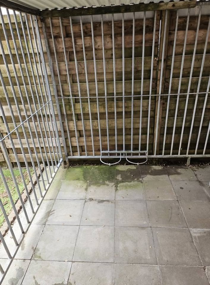 honden kennel 3 x 2 m, Dieren en Toebehoren, Hondenkennel, 100 cm of meer, Ophalen of Verzenden, 110 cm of meer