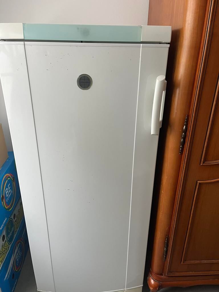 Ijskast electrolux, Electroménager, Réfrigérateurs & Frigos, Enlèvement
