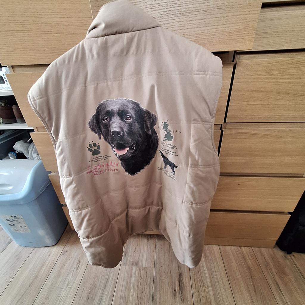 Training kleding honden labrador, Vêtements | Femmes, Homewear, Enlèvement, Comme neuf, Taille 46/48 (XL) ou plus grande, Beige