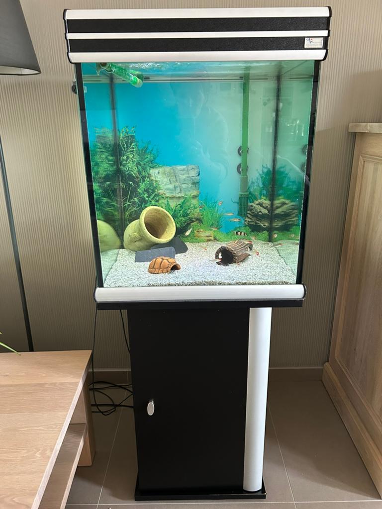 Aquarium met toebehoren, Dieren en Toebehoren, Ophalen, Gebruikt, Aquariummeubel, Aquatlantis