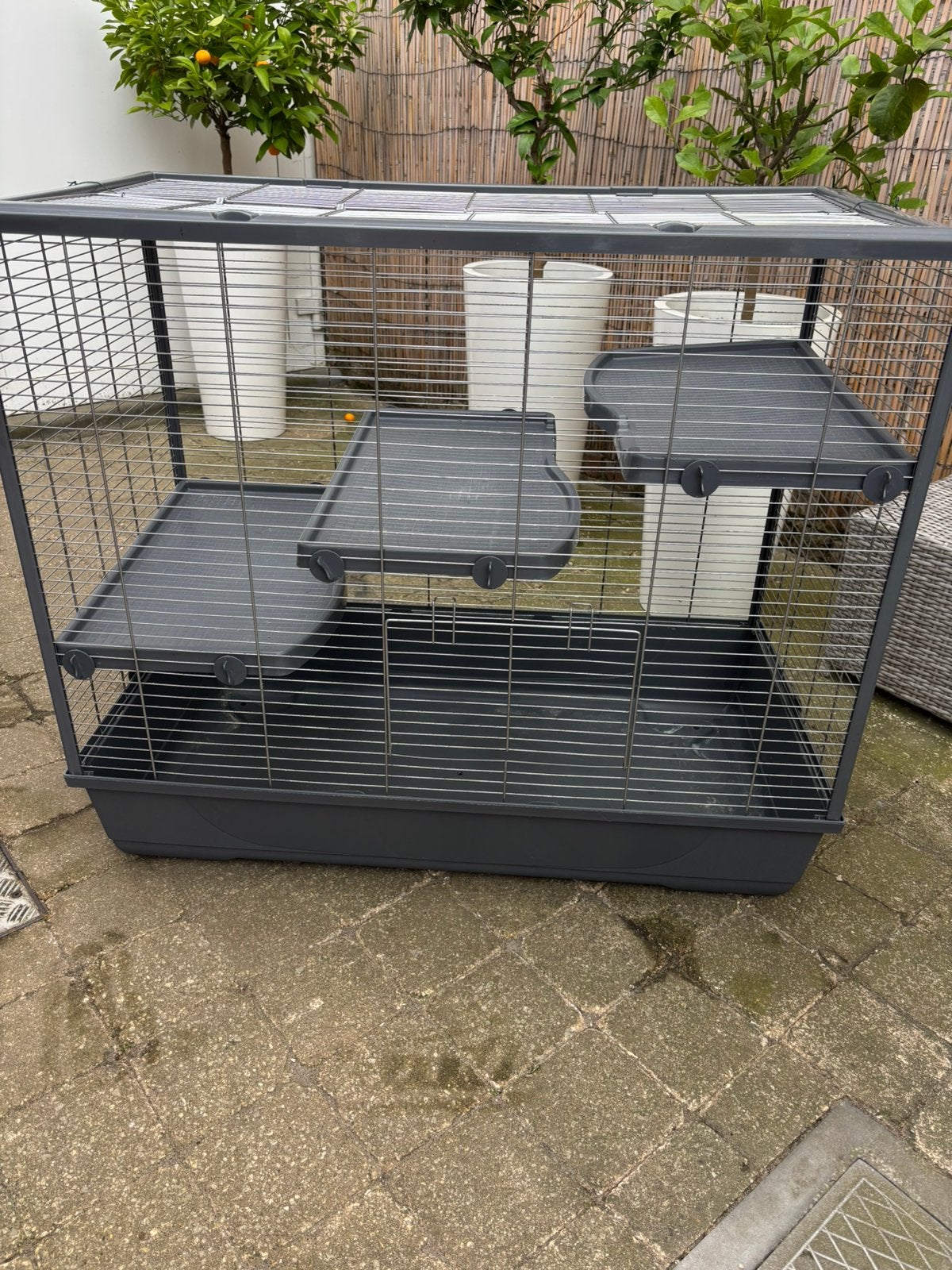 Knaagdieren kooi, Animaux & Accessoires, 75 à 110 cm, Cage, Rat, Enlèvement