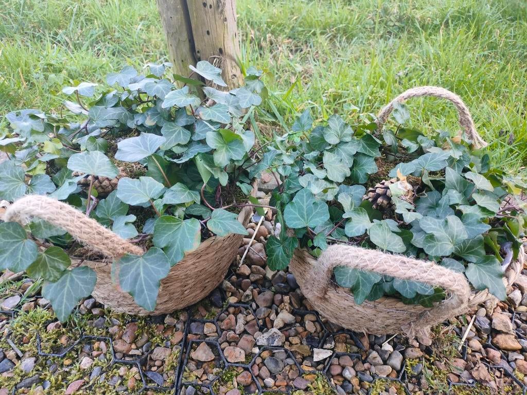 Mandje met klimop, Tuin en Terras, Ophalen