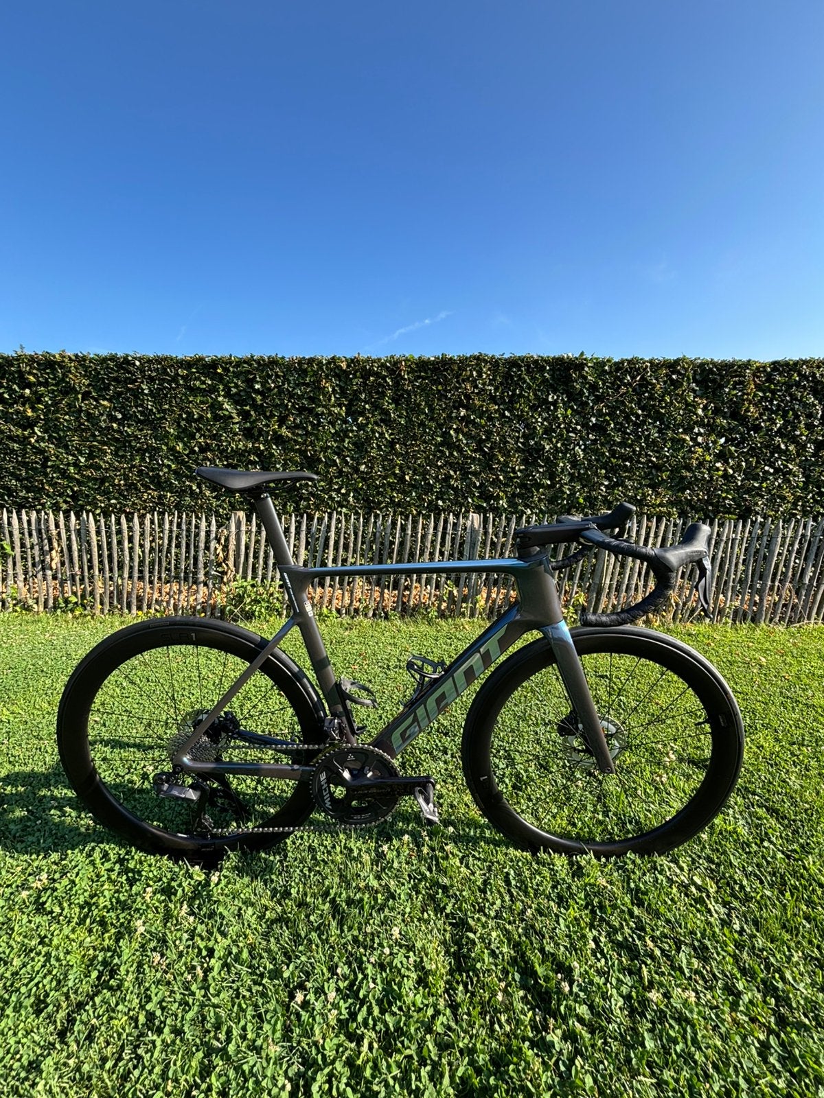 Giant Propel Advanced Pro 2025, Ophalen, Zo goed als nieuw