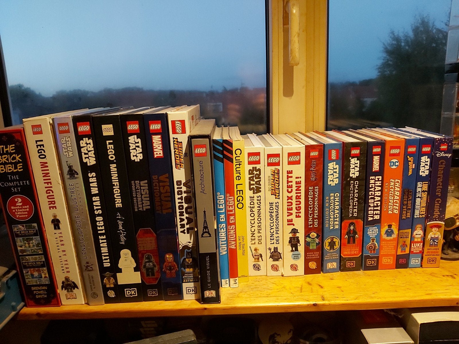 livre lego, Lego, Minifigurines incluses, Comme neuf, Autres types