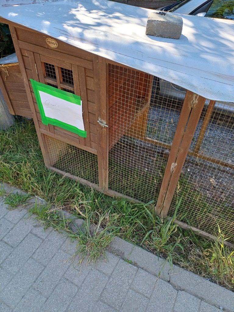 Gratis kippenhok met kleine ren, Dieren en Toebehoren, Ophalen, Gebruikt, Kippenhok of Kippenren