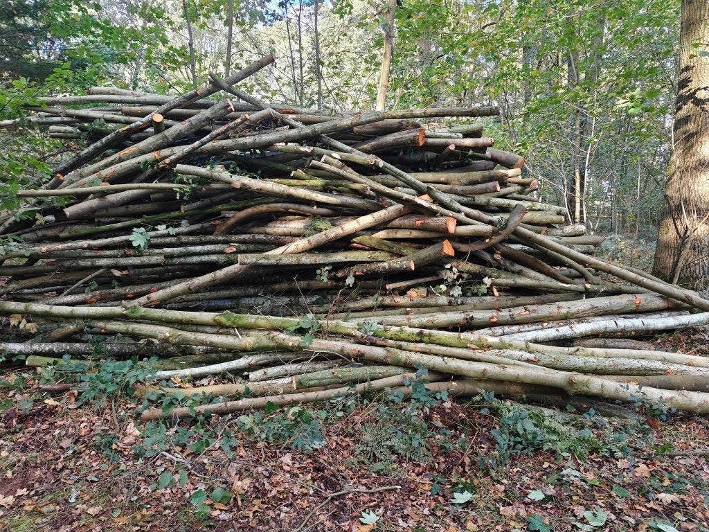 Mooi lot brandhout te Oostkamp, Ophalen
