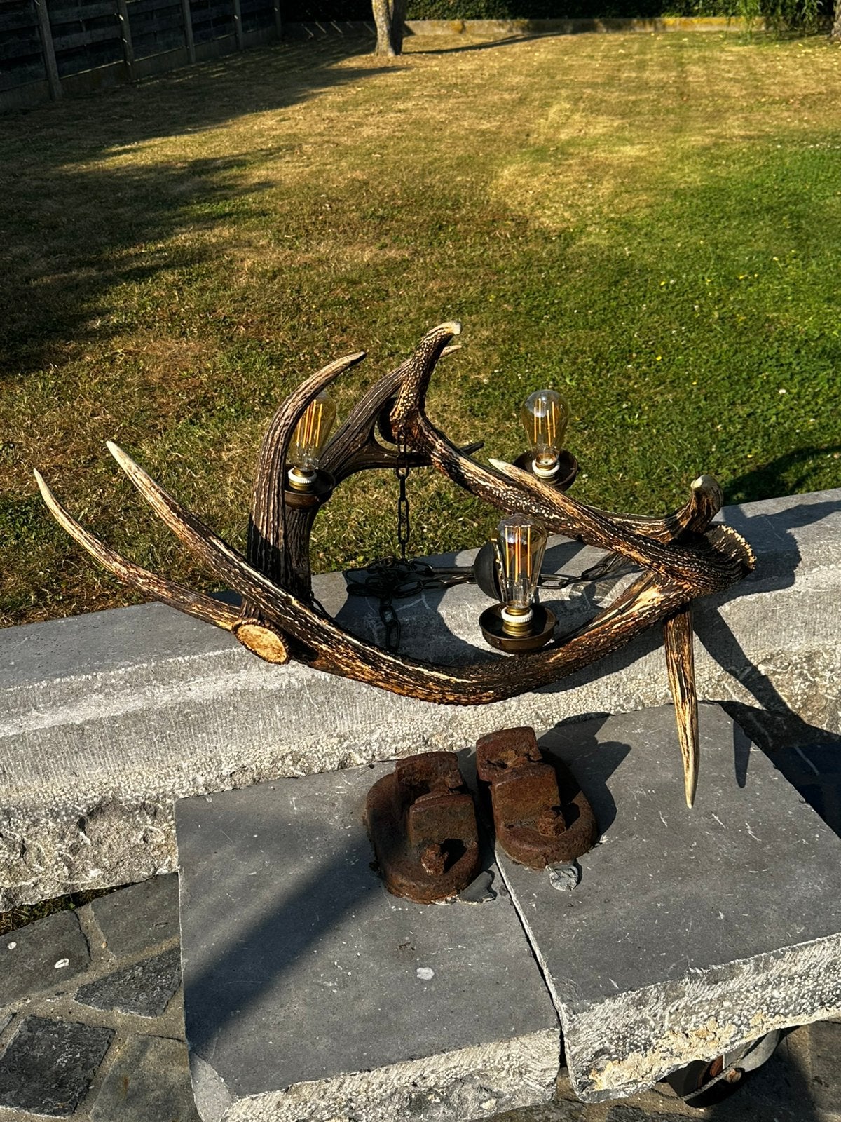 Gewei luster hert zware takken ( sikahert ), Antiek en Kunst, Curiosa en Brocante, Ophalen