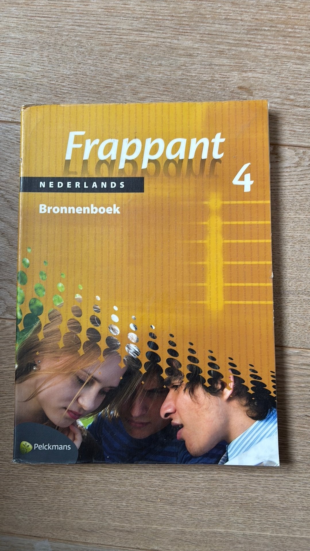 Frappant 4 Bronnenboek Nederlands, Boeken, Ophalen of Verzenden, Zo goed als nieuw, Nederlands