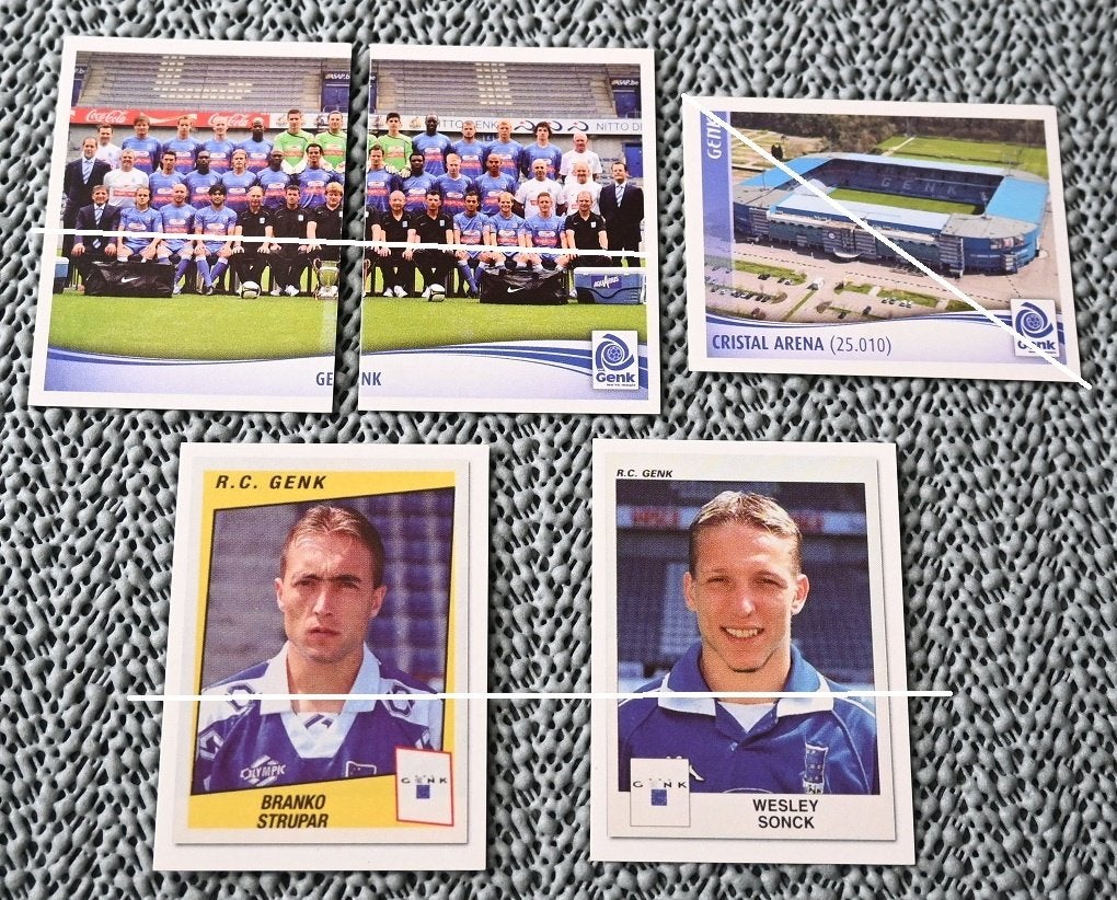 Panini Football 2010 / RC Genk / 23 stickers, Verzamelen, Verzenden, Nieuw, Poster, Plaatje of Sticker