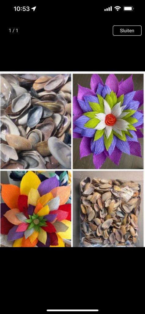 Couteaux schelpjes voor mooie bloemetjes !, Ophalen of Verzenden