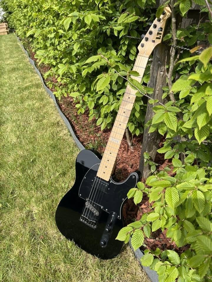 ESP LTD TE-212 M Black – in uitstekende staat, Ophalen, Gebruikt, Solid body, Overige merken