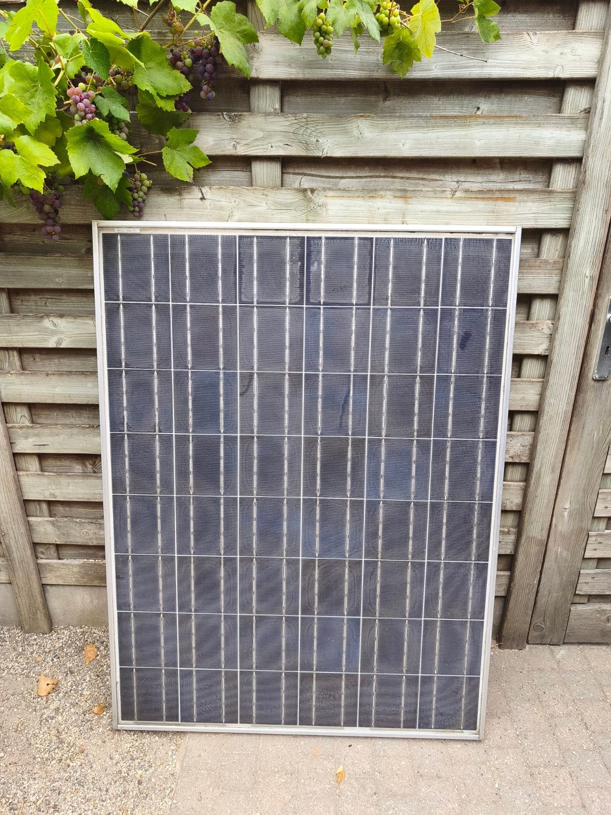 4 zonnepanelen 132x100 cm. 160Wp, Enlèvement, Utilisé, Panneau, 100 à 200 watts-crêtes