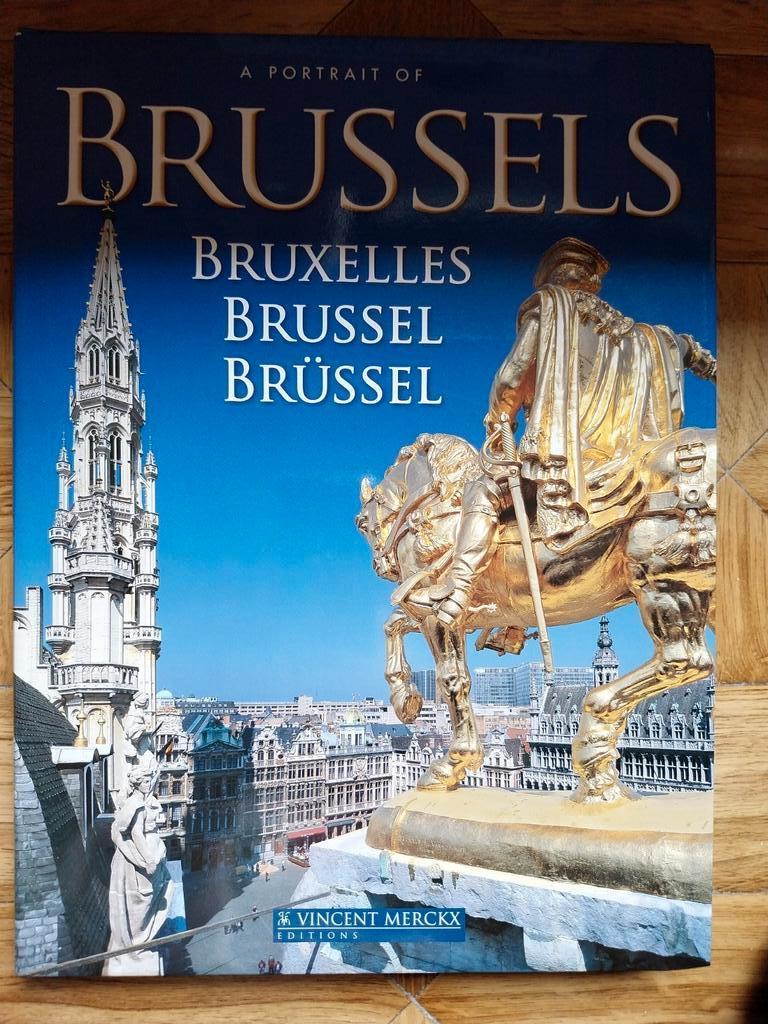 Un portrait de Bruxelles, Enlèvement ou Envoi, Neuf, Vincent Merckx, Looze