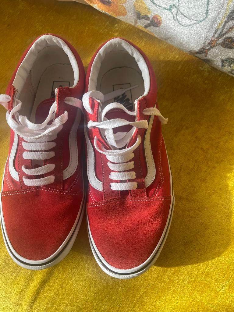 Vans p 42 peu porter, Enlèvement, Comme neuf