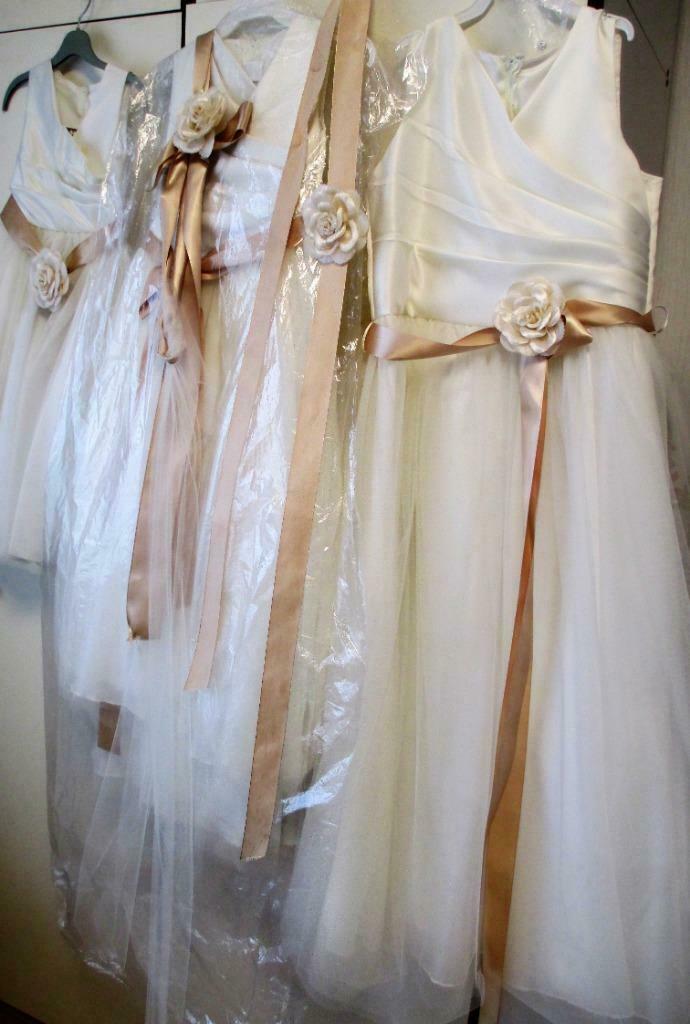 feestjurk voor bloemenmeisje maat 10, Robe ou Jupe, Enlèvement ou Envoi, Utilisé, Fille