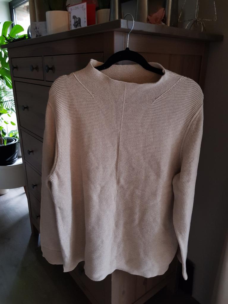 Nieuwe pullover xxl44, Kleding | Dames, Truien en Vesten, Ophalen of Verzenden