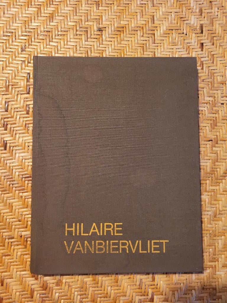 kunstboek, Ophalen of Verzenden, Zo goed als nieuw, Bert Dewilde