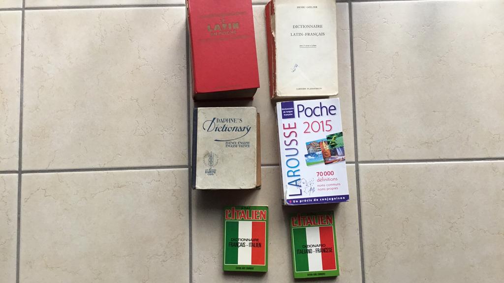 Lot de dictionnaire (Latin-Anglais-Francais-Italien, Ophalen of Verzenden, Gelezen, Engels