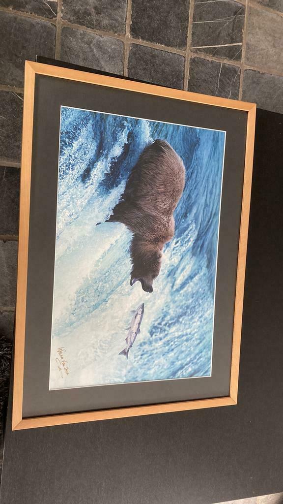 Foto Werner Van Steen in houten kader 72,5 X 52,5 cm, Ophalen of Verzenden, Zo goed als nieuw