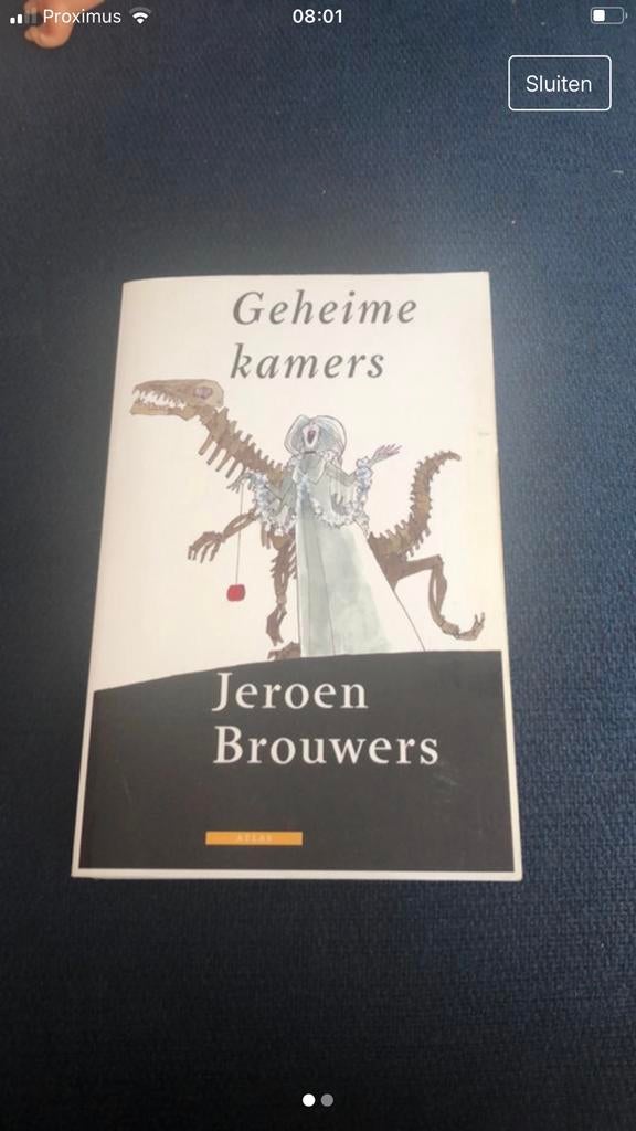 Geheime kamers van Jeroen Brouwers, Boeken, Ophalen of Verzenden, Zo goed als nieuw, Jeroen Brouwers