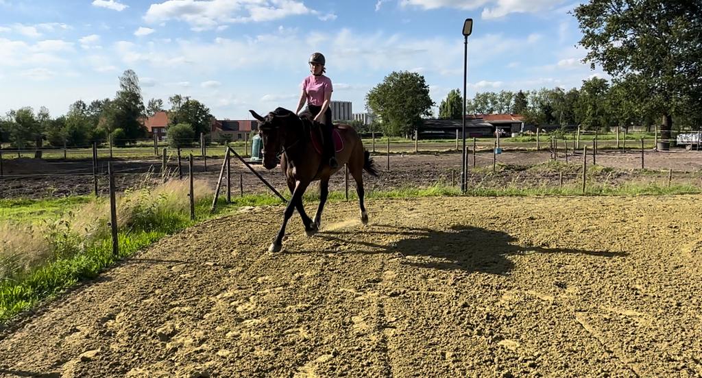 Paardrijlessen met eigen paard., Diensten en Vakmensen, Paardrijles of Ponykampen
