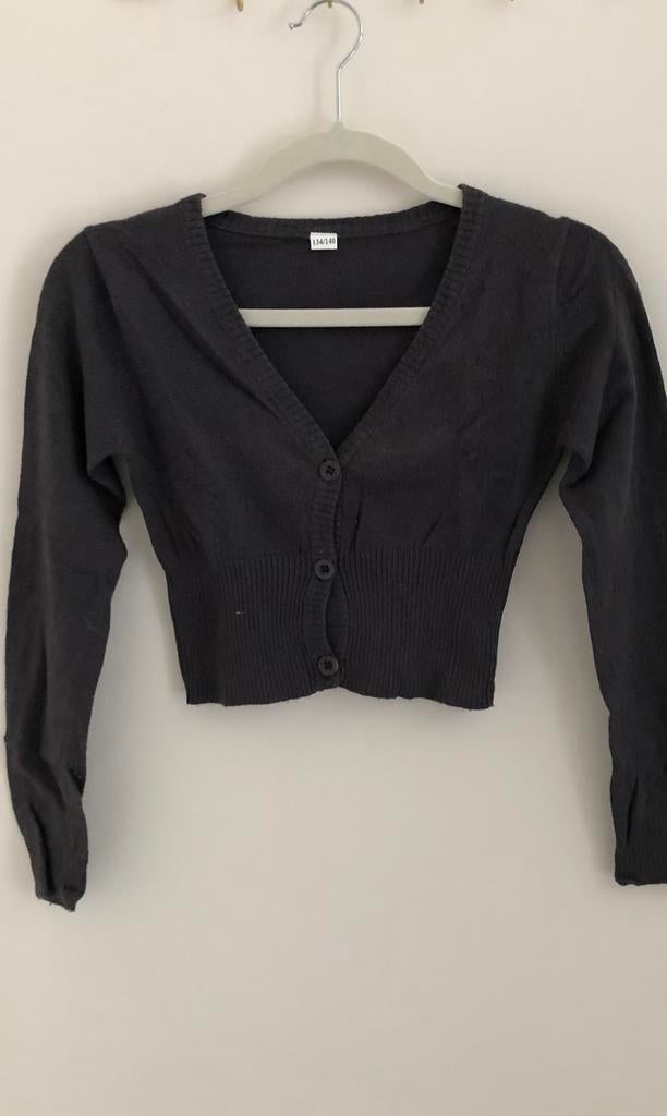 gilet knoopsluiting 134 140 grijs, Kinderen en Baby's, Ophalen of Verzenden, Gebruikt, Meisje, Trui of Vest