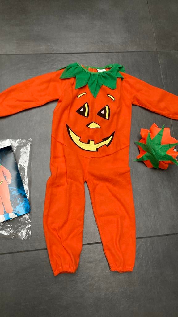 Nr 94: Carnaval of halloweenkostuum pompoen, Enlèvement ou Envoi