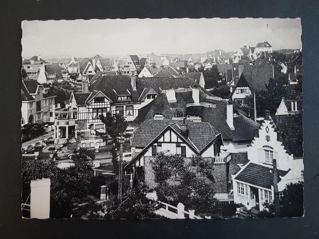 Postkaart De Haan Coq s/mer Panorama, Ophalen of Verzenden, 1960 tot 1980, Ongelopen, West-Vlaanderen