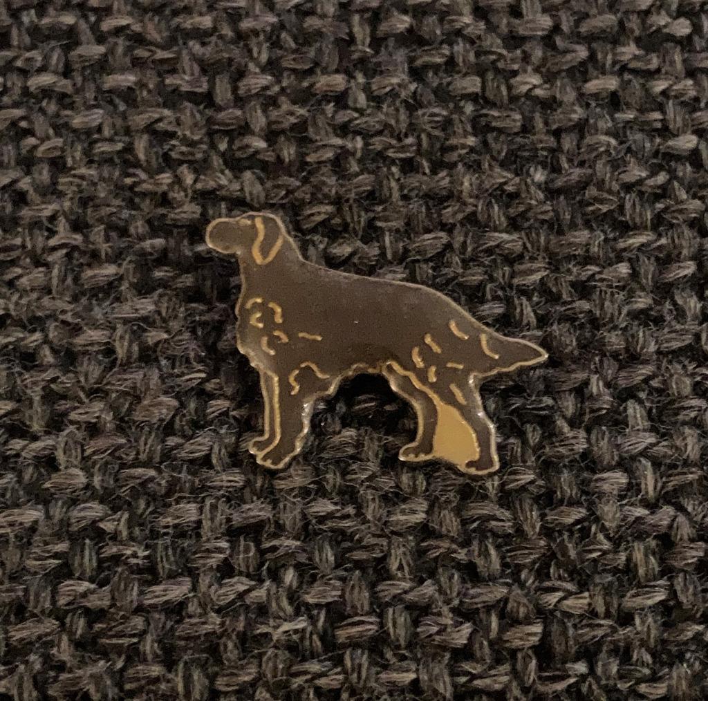 PIN - HOND - CHIEN - DOG, Envoi, Utilisé, Animal et Nature, Insigne ou Pin's