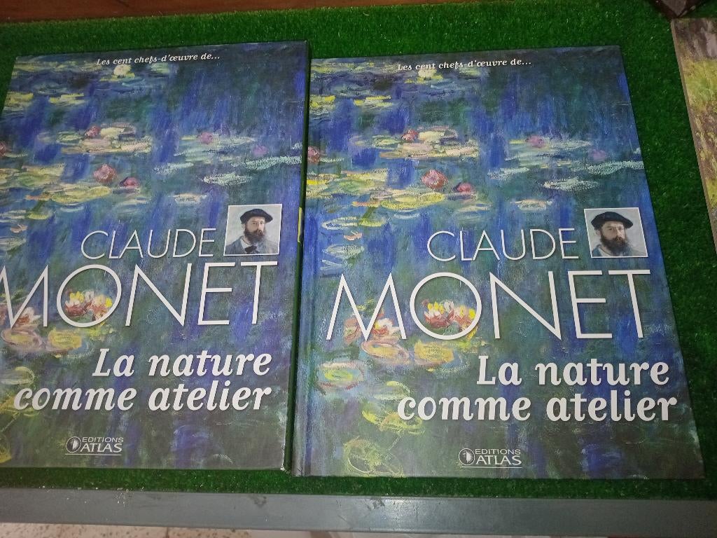 Het grote boek van de schilder van Monet, Boeken, Ophalen of Verzenden, Zo goed als nieuw