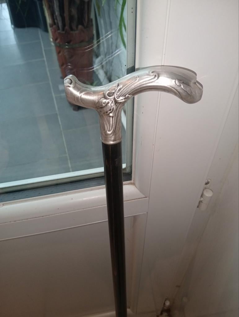 Riet. zilver. Derby. 83 cm