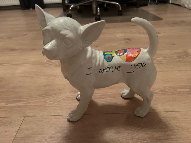 Hannes D’haese, Enlèvement