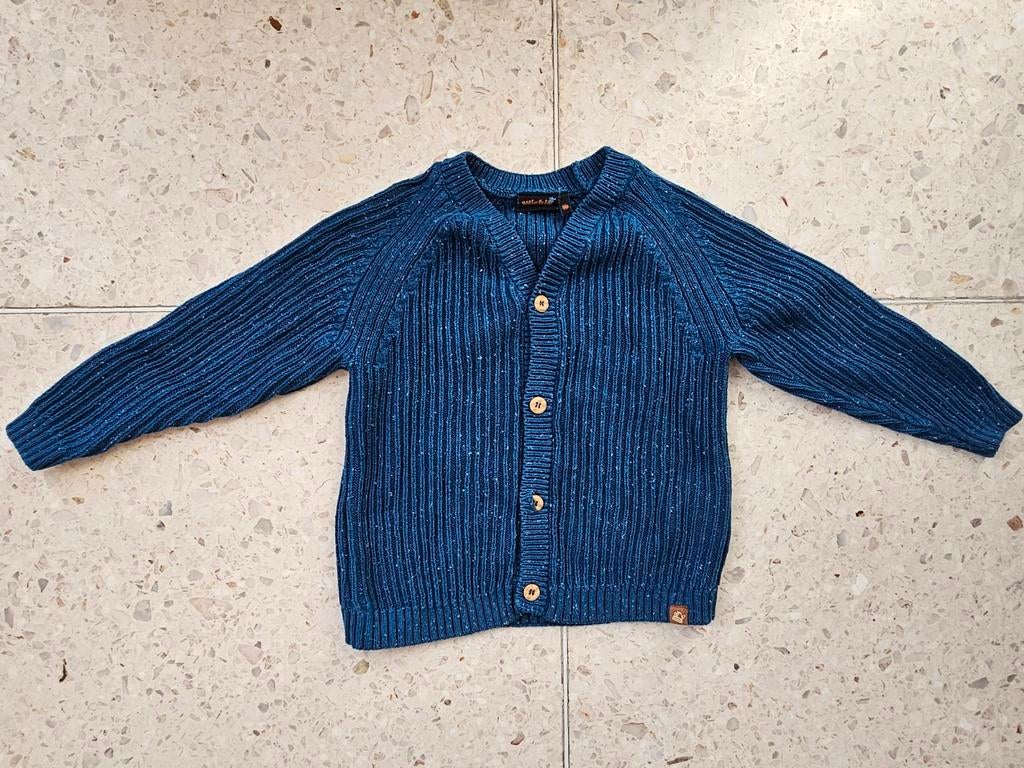 Katoenen blauw golfje,  maat 110, zeer goede staat!, Kinderen en Baby's, Kinderkleding | Maat 110, Ophalen, Jongen of Meisje, Trui of Vest