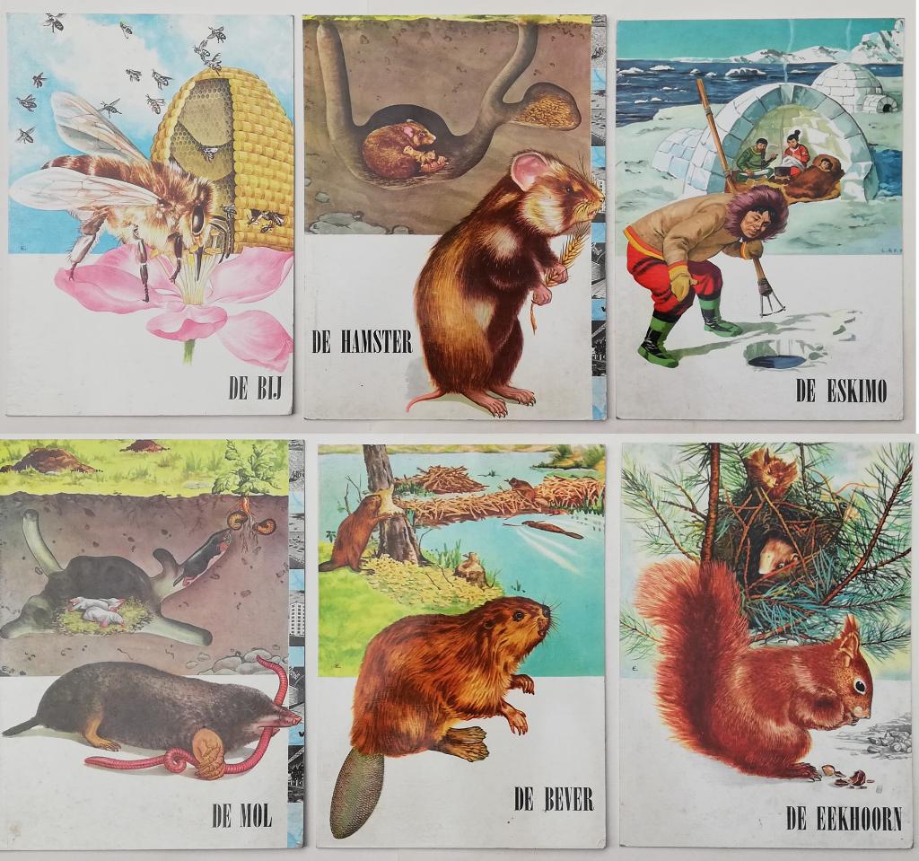 Mooi lot met 6 plaques - illustraties uit school - 50s/60s, Ophalen of Verzenden