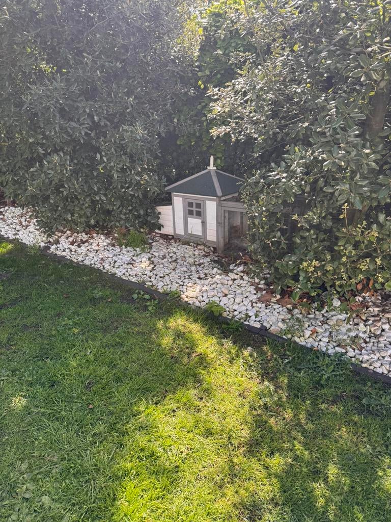 Kippenhok met ren – stevig & compleet, Dieren en Toebehoren, Ophalen, Gebruikt