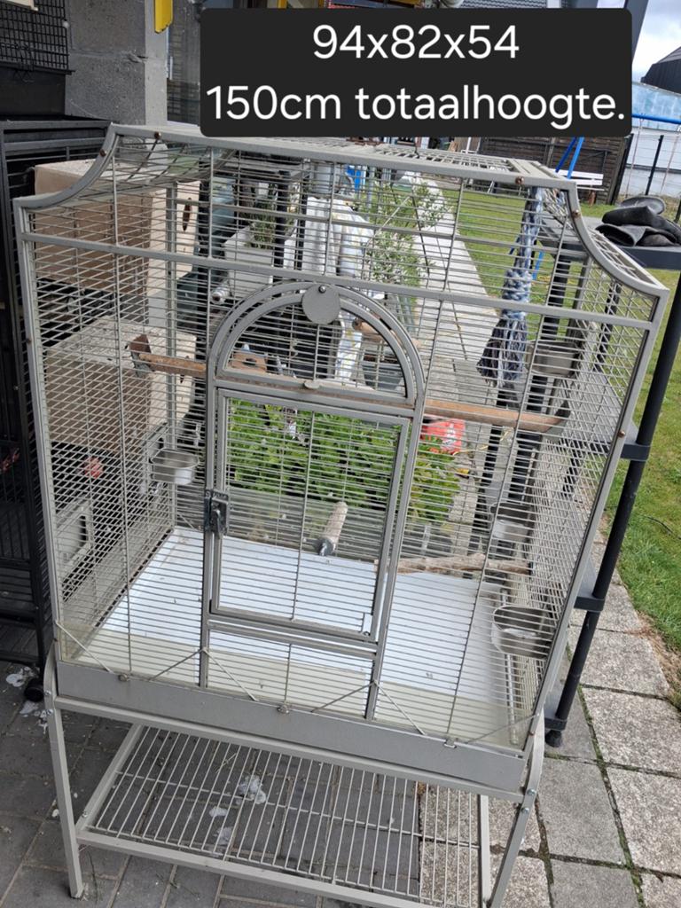Grote vogelkooi, Ophalen, Vogelkooi