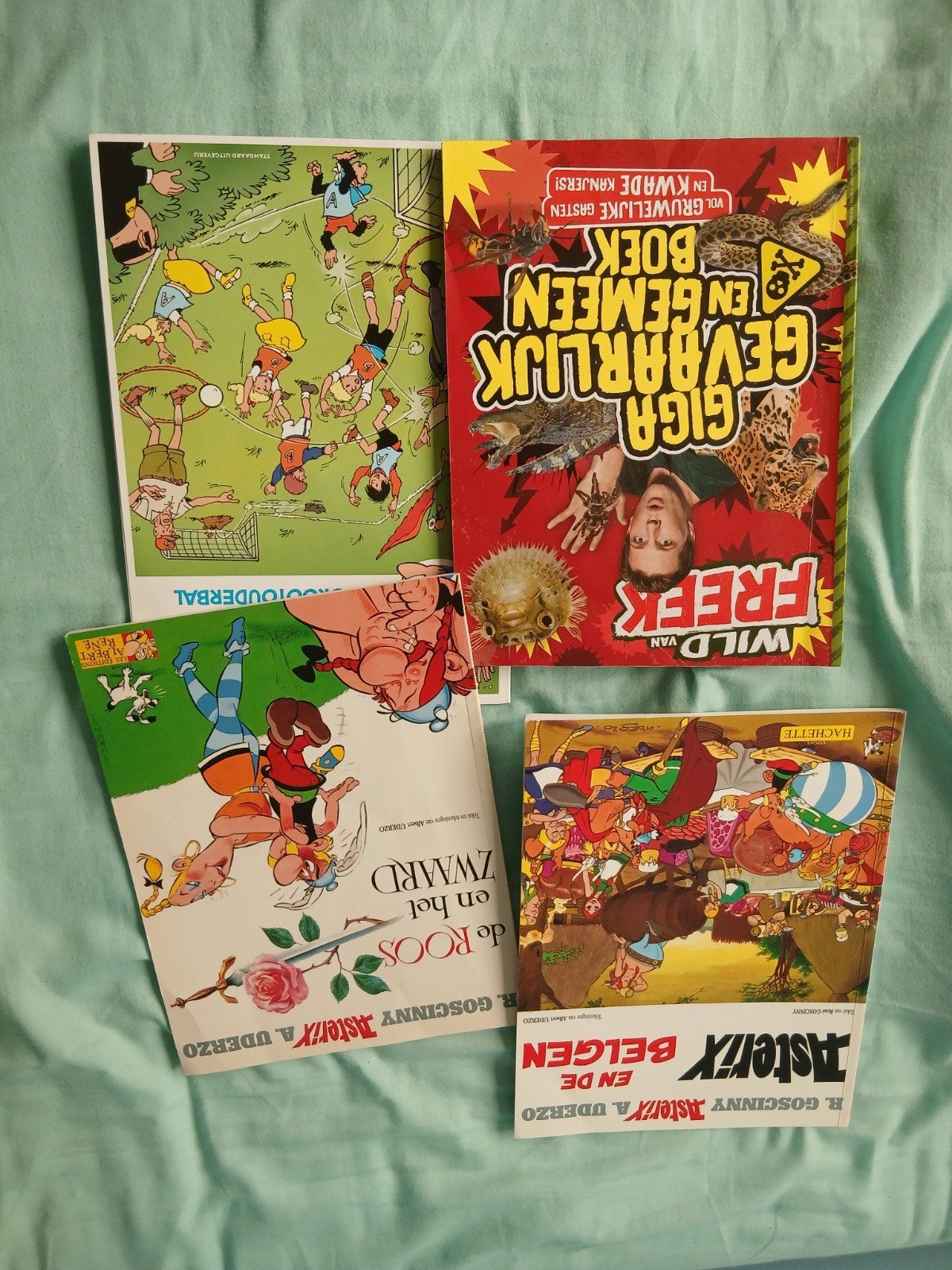 Lot de 4 livre néerlandais bon etat, Ophalen