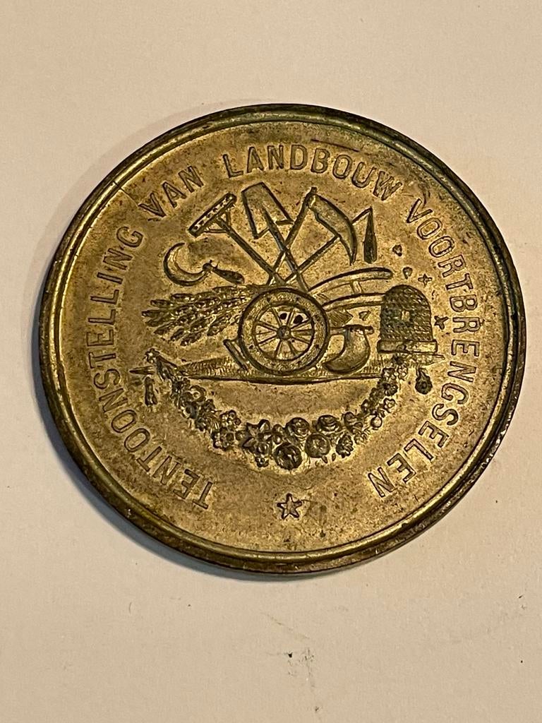 Oude medaille, Postzegels en Munten, Ophalen of Verzenden