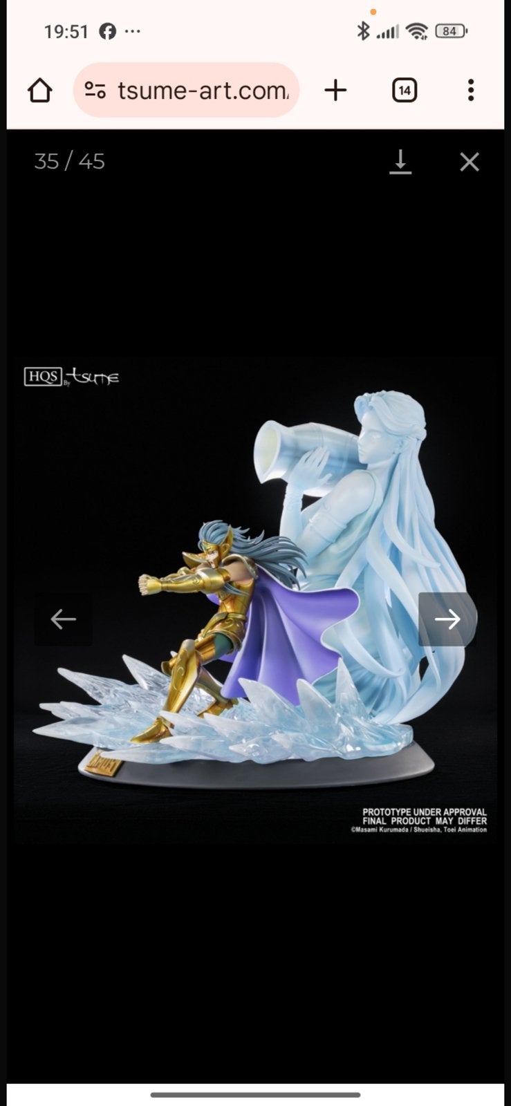 Tsume Chevalier du Verseau, Enlèvement, Neuf