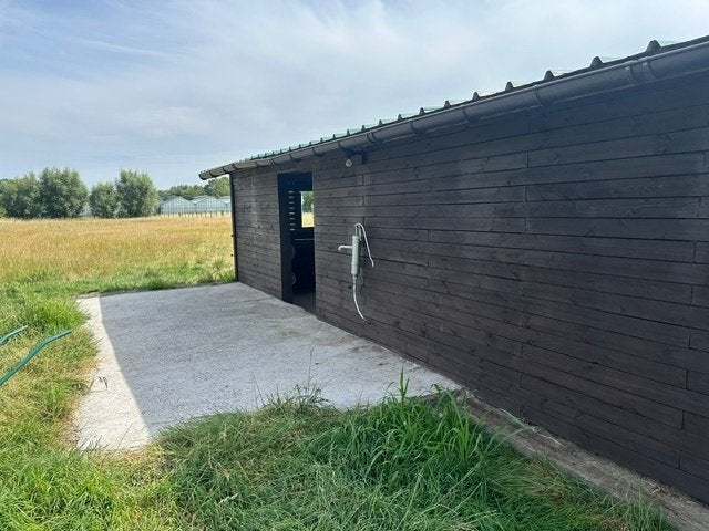 Leuke weide met grote stal te huur - Langeroot Wieze, Animaux & Accessoires, Box & Pâturages, Mise à l'étable, Pâturage, 2 ou 3 chevaux ou poneys