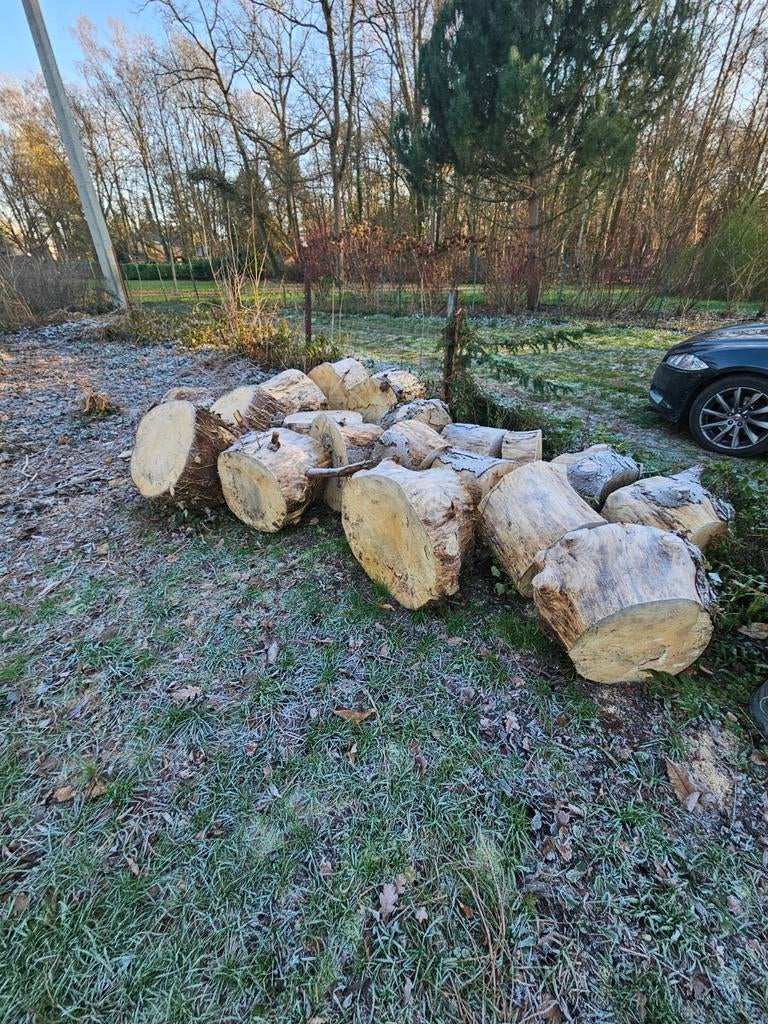 Bois de sapin, Enlèvement