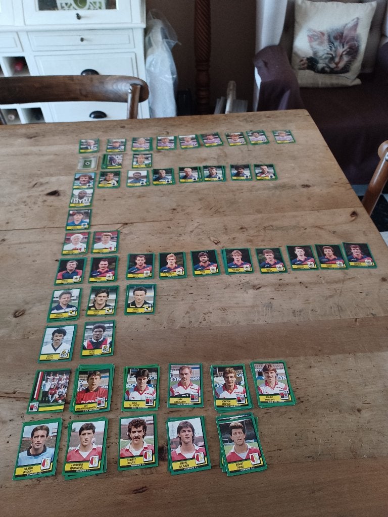 PANINI voetbalstickers  football 89, Verzamelen, Ophalen of Verzenden