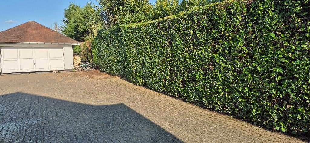 Tuinman, Tuinonderhoud of Snoeiwerk