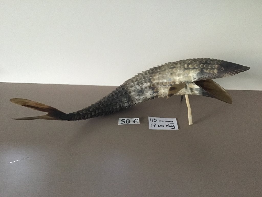 mooie vis van 43 cm lang in perfecte staat, Antiek en Kunst, Curiosa en Brocante, Ophalen of Verzenden