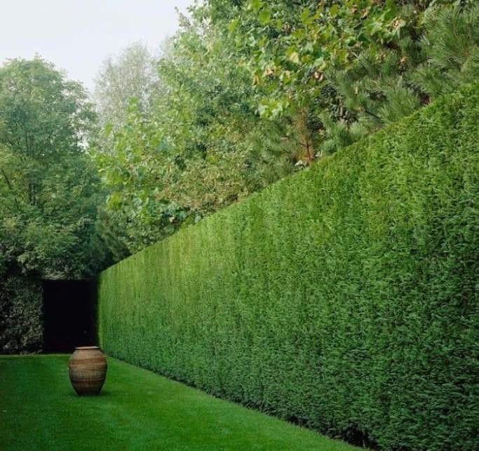 Tuinonderhoud, Ophalen, Zo goed als nieuw