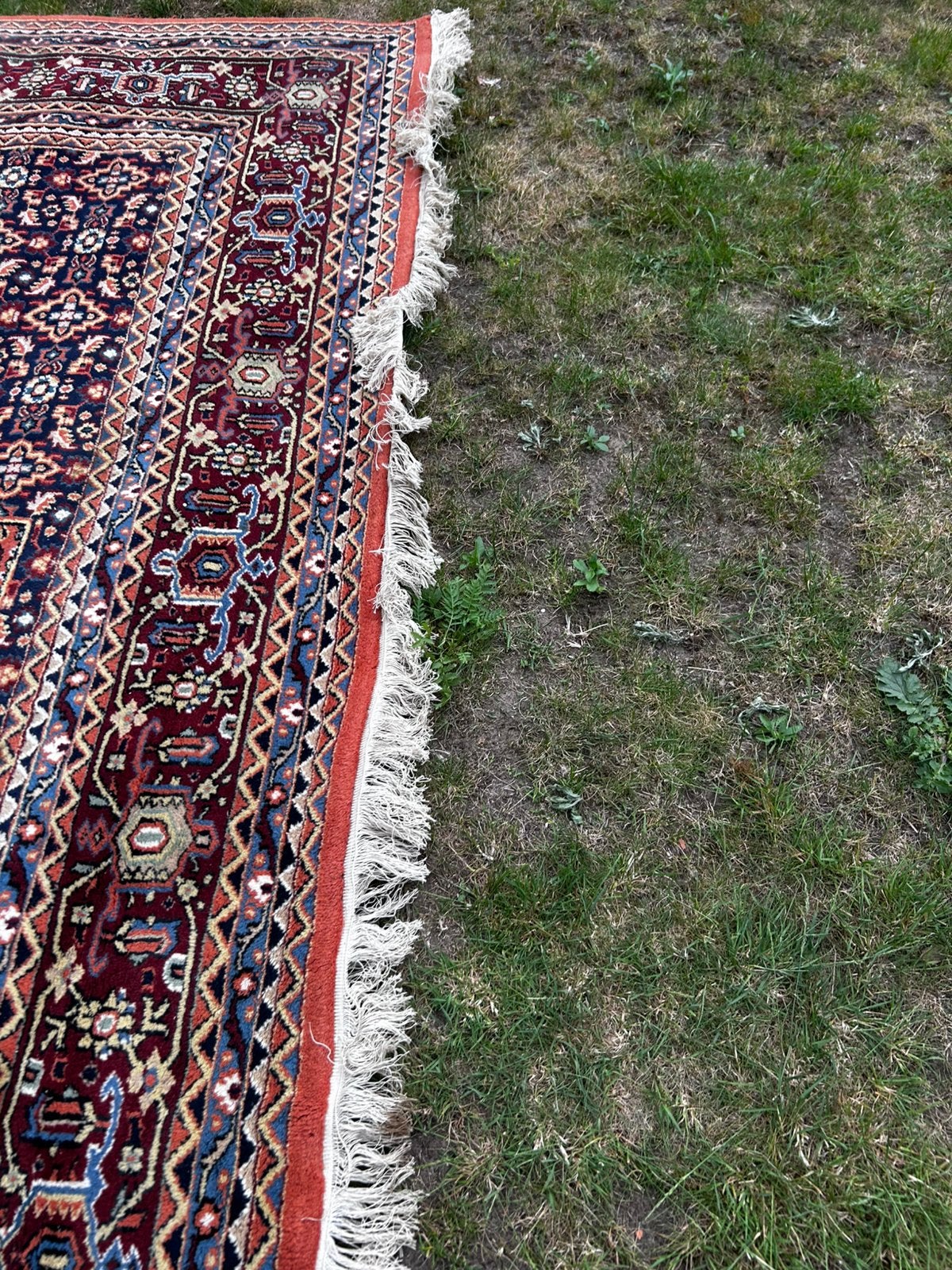 Tapis Bidjar noué à la main avec certificat, Antiquités & Art, Enlèvement