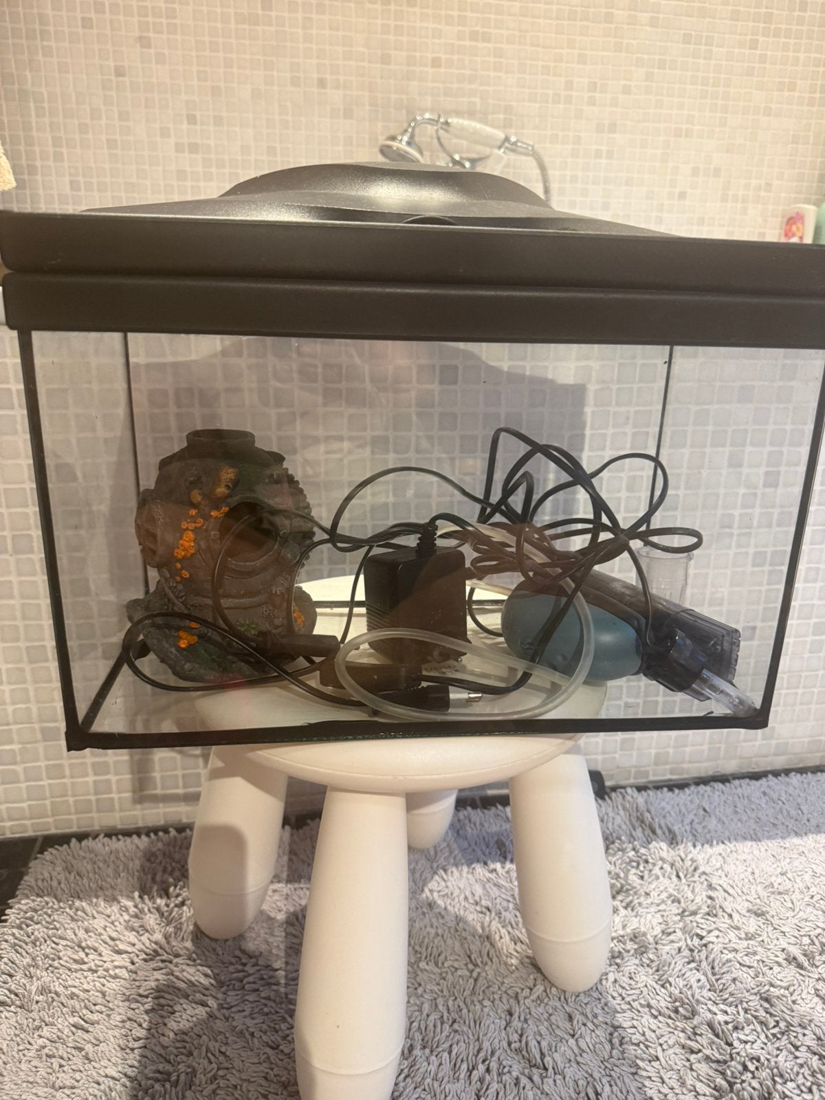 Aquarium avec pompe, Enlèvement, Pompe, Utilisé, Aquarium vide